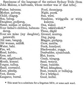 John Malone Wordlist copy.jpg